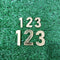 Golden English  Clock Numbers